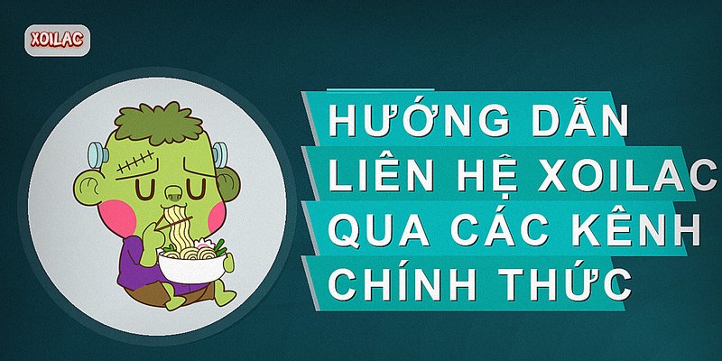 Hướng dẫn liên hệ xoilac qua các kênh chính thức
