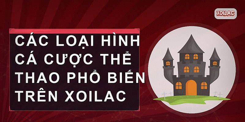 Các loại hình cá cược thể thao phổ biến trên Xoilac