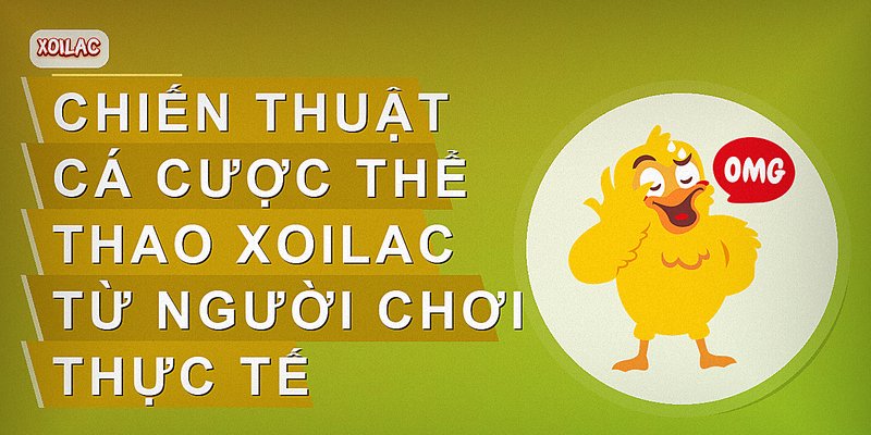 Chiến thuật cá cược thể thao Xoilac từ người chơi thực tế