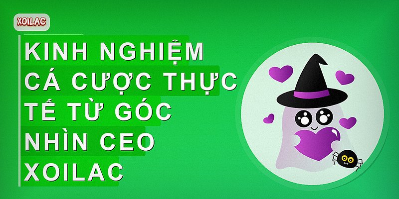 Kinh nghiệm cá cược thực tế từ góc nhìn CEO Xoilac
