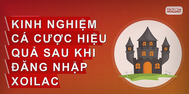 Kinh nghiệm cá cược hiệu quả sau khi đăng nhập Xoilac